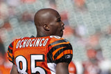 Chad Ochocinco Johnson Signed Cincinnati Bengals Jersey (Beckett) 6xPro Bowl W.R