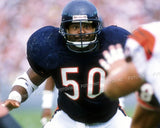 Dan Hampton, Mike Singletary, Jim Covert Signed Hall of Fame Bears Jersey /JSA