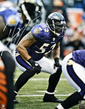 Ray Lewis Autographed Baltimore Ravens 16x20 Stance Photo- Beckett W Hologram