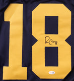 Randall Cobb Signed Green Bay Packers Pro Cut Throwback Jersey (JSA) Pro Bowl WR