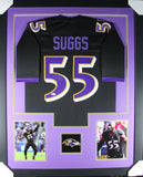 TERRELL SUGGS (Ravens black TOWER) Signed Autographed Framed Jersey JSA