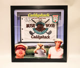 Chevy Chase Caddyshack Bushwood Golf Flag with Deluxe Lighted Frame - TRISTAR