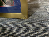 Ernie Banks Chicago Cubs 32"x 36" Framed Jersey w/ Cut Signed Display Card (PSA)
