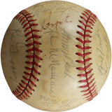 Cincinnati Reds 1981 Team Bench Morgan +24 Sigs Signed NL Baseball Beckett 56278