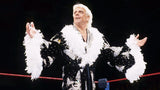 Ric Flair Signed WWE Championship Belt (JSA COA) WWE 16xWorld Champ / N.W.A. HOF