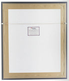 Michael Jordan Framed Bulls Out of This World 16x20 Basketball Photo