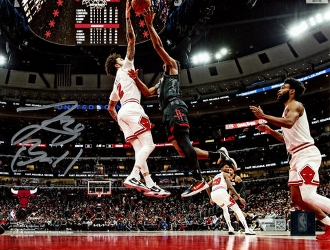 Lonzo Ball Autographed/Signed Chicago Bulls 8x10 Photo Fanatics 54402