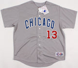 Starlin Castro Signed Chicago Cubs Road Gray Majestic Style Jersey (JSA COA)