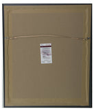 Brian Dawkins Signed Framed Philadelphia Eagles Smoke 16x20 Photo JSA