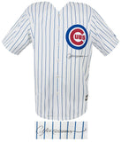 Andre Dawson Signed Cubs White Majestic Replica Baseball Jersey - (SCHWARTZ COA)