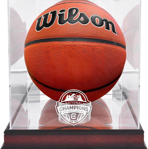South Carolina Basketball Logo Display Case