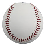 Tigers Gleyber Torres Authentic Signed Robert Manfred OML Baseball BAS #P22244