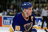 Brett Hull Signed St. Louis Blues 35"x43" Framed Jersey (JSA) 741 NHL Goals