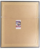 Brian Dawkins Signed Framed Eagles Smoke 16x20 Photo Fly Eagles Fly JSA