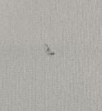 Jason Kelce Signed Framed Philadelphia White Replica Jersey PSA ITP Hologram