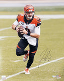 JOE BURROW AUTOGRAPHED SIGNED FRAMED 16X20 PHOTO BENGALS FANATICS HOLO 206952