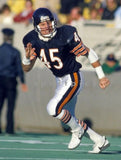 1985 Super Bowl XX Signed Chicago Bears #85 Jersey (JSA) Signed by 14 / See List