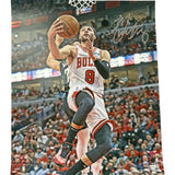 Zach LaVine Autographed/Signed Chicago Bulls 16x20 Photo Fanatics 54395