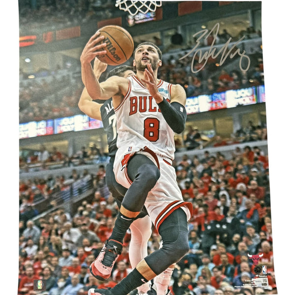 Zach LaVine Autographed/Signed Chicago Bulls 16x20 Photo Fanatics 54395
