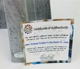 Lawrence Taylor New York Giants Signed Replica 15" Lombardi Trophy /Schwartz COA