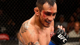 Tony Ferguson Signed Custom Photo USA / UFC / MMA Fight Glove (Beckett)