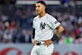 Gleyber Torres Signed New York Yankees 36" x 39" Framed Jersey (Beckett COA)