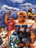 Denver Broncos Ring of Fame Framed Lithograph 36x25 - 12 Authentic Signatures