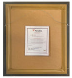 TOM BRADY Autographed Patriots "In Focus" 20" x 24" Framed Photograph FANATICS