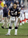Tedy Bruschi Signed New England Patriots Jersey (Beckett) 3xSuper Bowl Champion