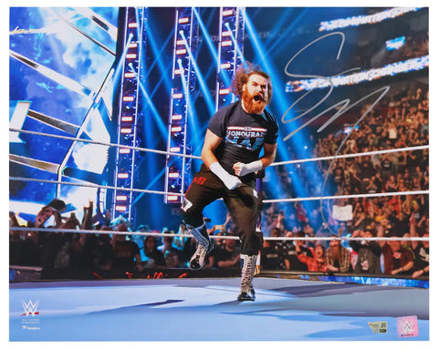 Sami Zayn Autographed WWE Elimination Chamber 16" x 20" Photograph Fanatics