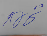 AJ Green Signed/Autographed 16x20 Photo Bengals JSA BA212465