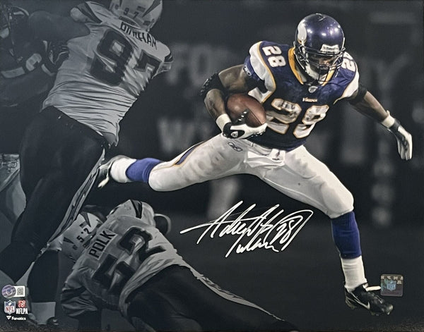 Adrian Peterson Signed Minnesota Vikings 16x20 Photo Beckett 42367