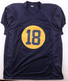 Randall Cobb Signed Green Bay Packers Pro Cut Throwback Jersey (JSA) Pro Bowl WR