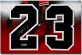 Michael Jordan Autographed Chicago Bulls Jersey Numbers "Bulls-Eye" 16 x 24 UDA