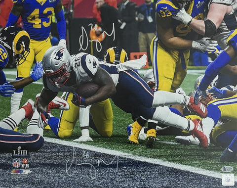 Sony Michel Signed/Autographed 16x20 Photo Patriots BAS 212059