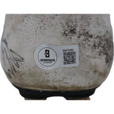 Dennis Smith Signed Game Used Nike Sz 11.5 Cleat Left Foot Beckett 44719