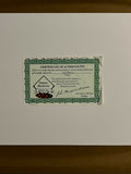Ted Williams Stan Musial Signed Autographed Photo Framed to 14x17 Green Diamond