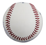 Vladimir Guerrero Sr. & Vladimir Guerrero Jr. Signed OML Baseball MLB #PX441456