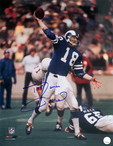 Roman Gabriel Signed LA Rams Blue Jersey Passing 16x20 Photo - (SCHWARTZ COA)