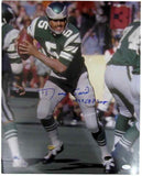 Roman Gabriel Philadelphia Eagles Autographed/Signed 16x20 Photo JSA 130422