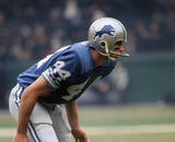 Dick LeBeau Signed Lions Jersey Inscribed "HOF 2010" (JSA) 3xPro Bowl Def. Back