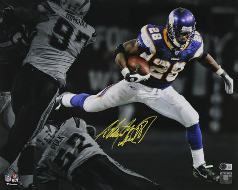 Vikings Adrian Peterson Signed 16x20 Spotlight Photo w/ Yellow Sig BAS Witnessed