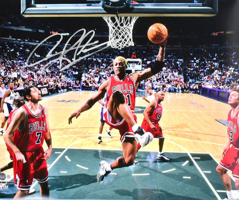 Dennis Rodman Autographed Bulls 16x20 Rebound Photo - Beckett W Hologram *Silver