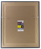 Dominik Hasek Signed Framed Detroit Red Wings 11x14 Hockey Photo JSA