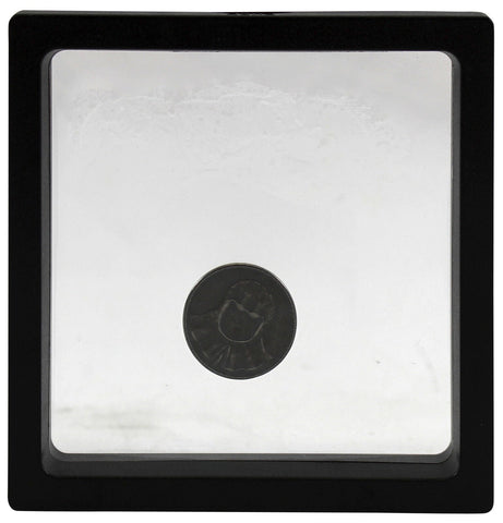 Game of Thrones Valar Morghulis Prop Replica Coin Framed BAM Box Exclusive