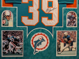 SUEDE FRAMED MIAMI DOLPHINS LARRY CSONKA AUTOGRAPHED SIGNED JERSEY JSA COA