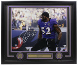 Ray Lewis Baltimore Ravens Signed Framed 16x20 Photo BAS ITP
