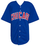 Derrek Lee (CHICAGO CUBS) Signed Blue Custom Baseball Jersey - (JSA COA)
