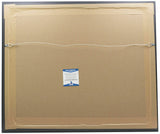 Jim Brown Signed Framed Cleveland Browns 16x20 Football Photo BAS