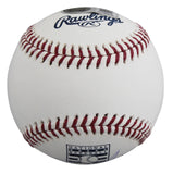 Reds Johnny Bench "HOF 89" Signed Hall OF Fame Logo Oml Baseball BAS #BY103713